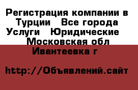 Регистрация компании в Турции - Все города Услуги » Юридические   . Московская обл.,Ивантеевка г.